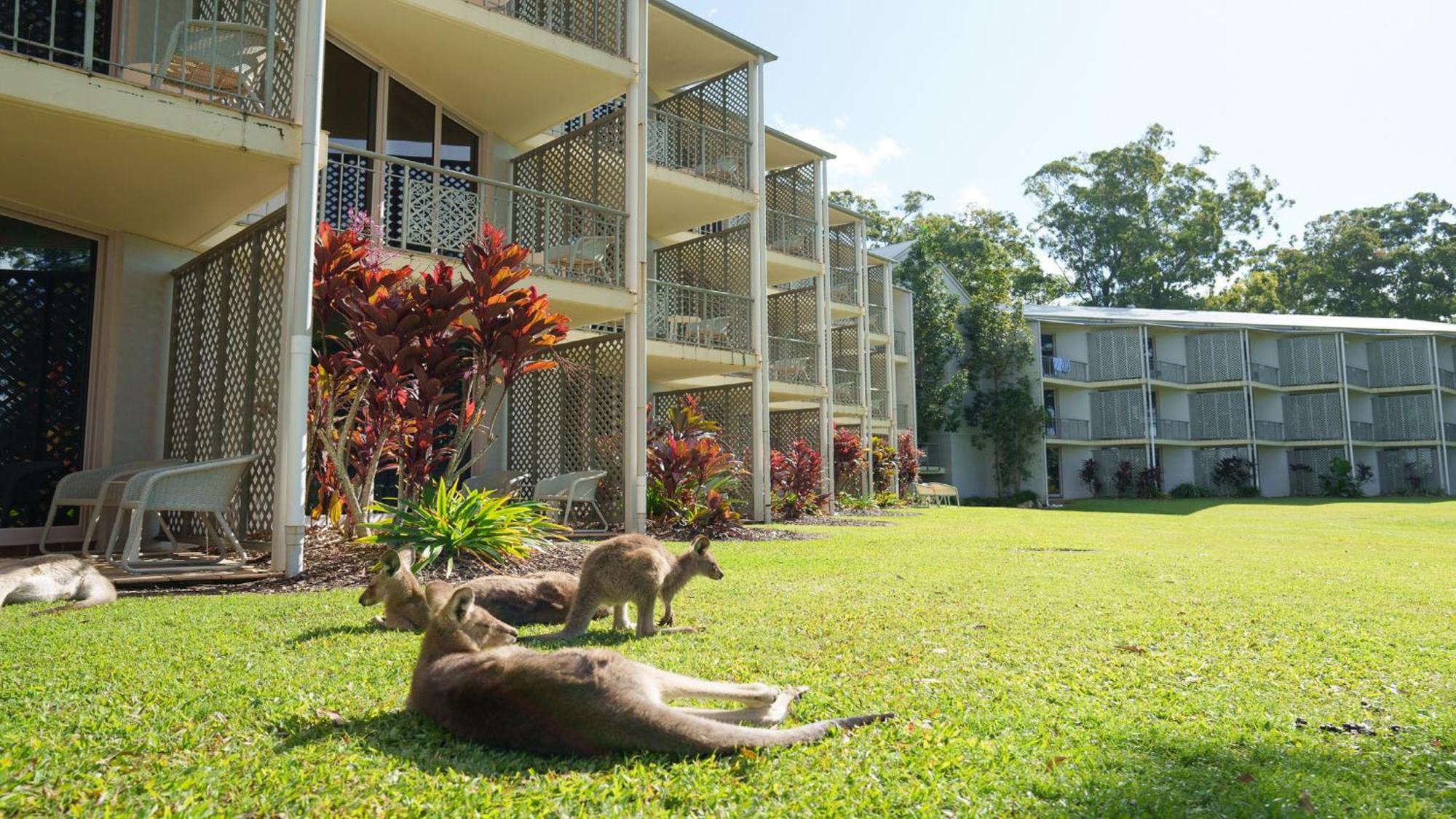 Intercontinental Sanctuary Cove Resort, An Ihg Hotel Gold Coast Zewnętrze zdjęcie
